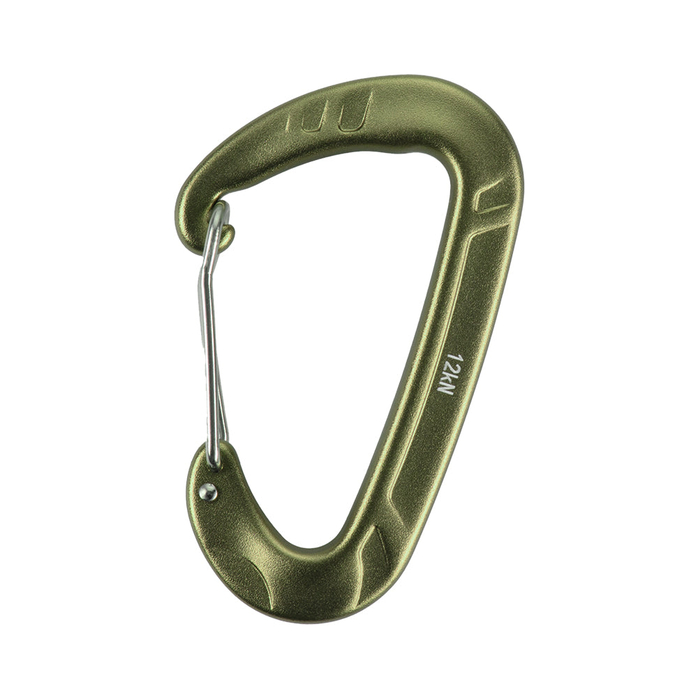 Carabiner Type 2