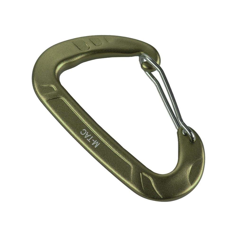 Carabiner Type 2