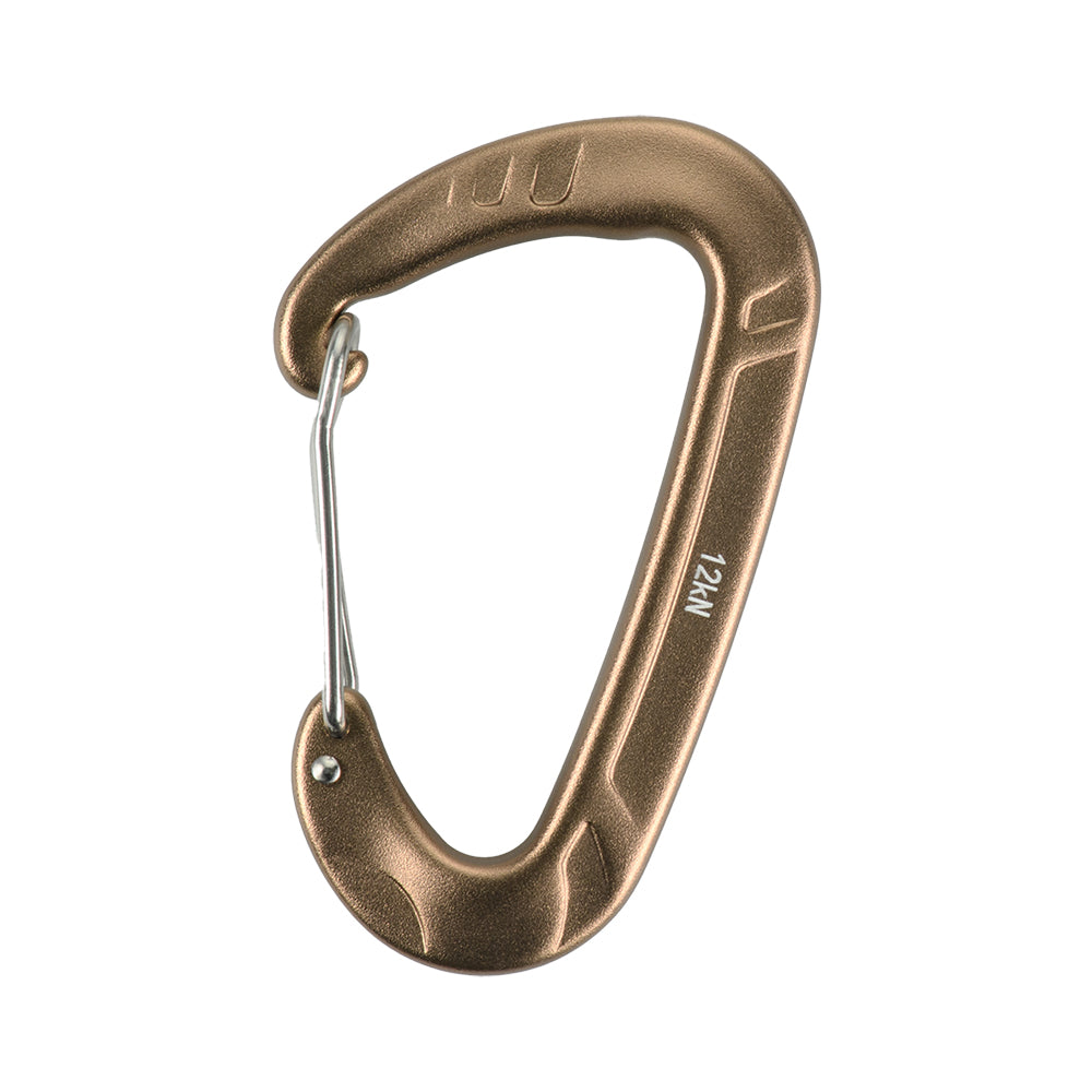 Carabiner Type 2