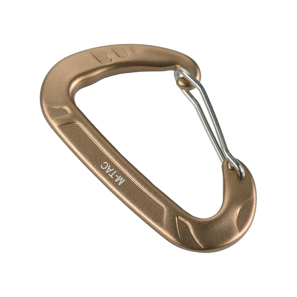 Carabiner Type 2