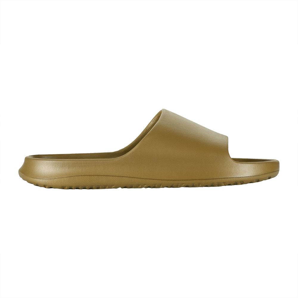 EVA Slides