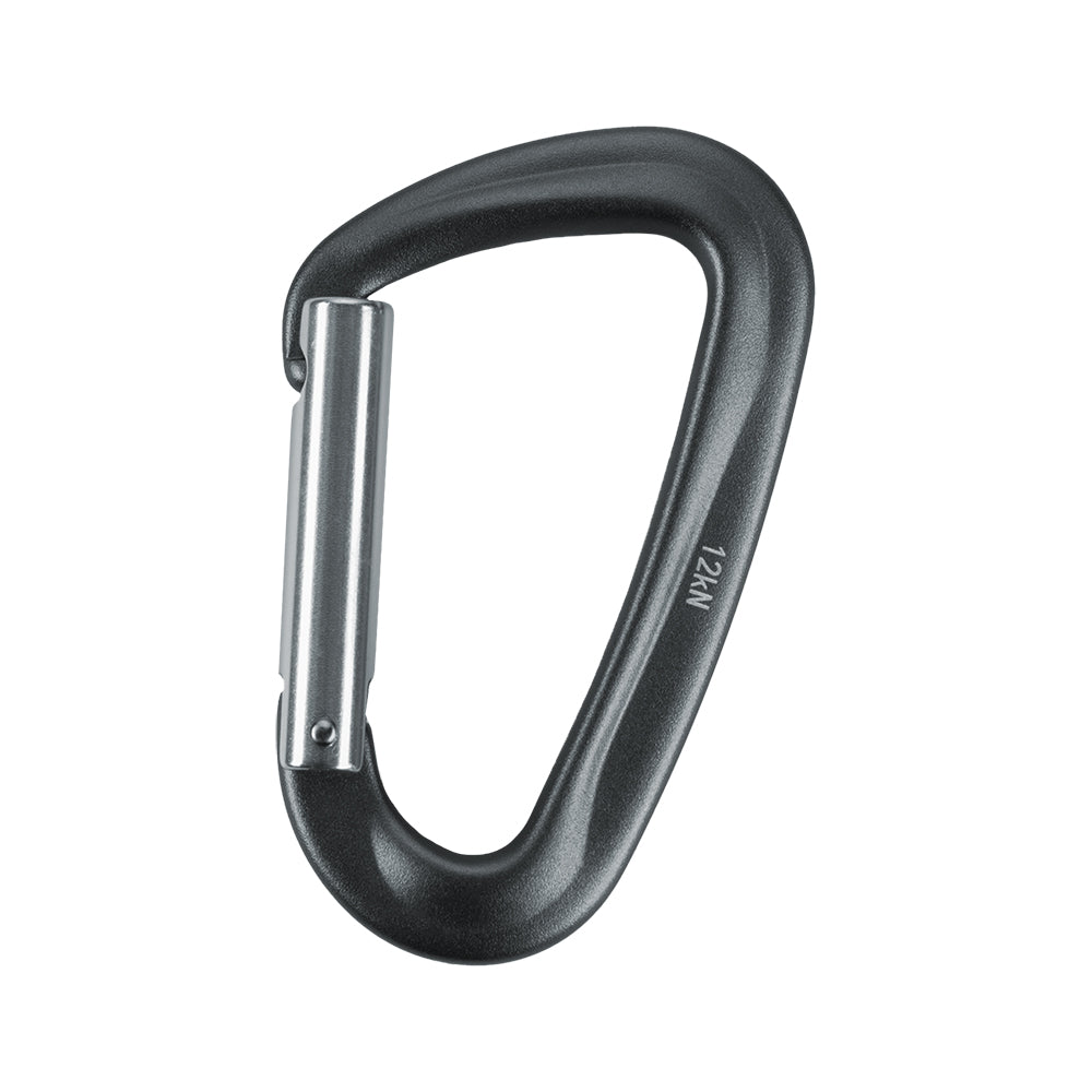 Carabiner Type 1