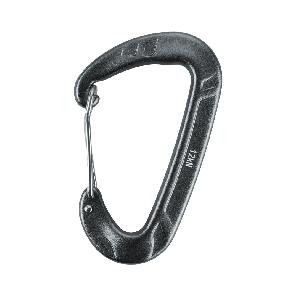 Carabiner Type 2