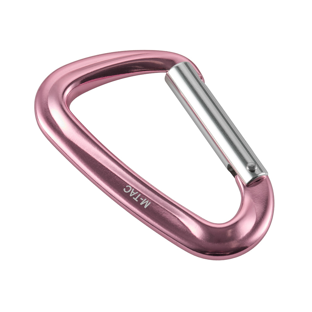 Carabiner Type 1