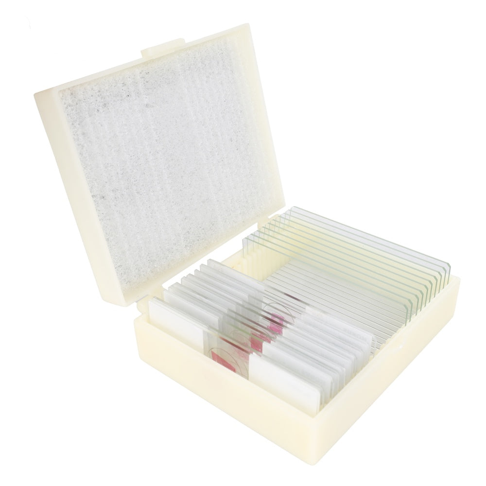 Konus Preparaten Set Zoölogie 2 (25 Stuks)
