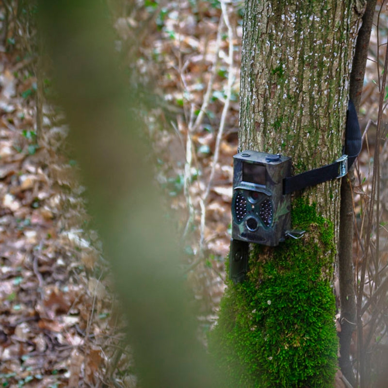 Braun Wildcamera Black300