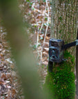 Braun Wildcamera Black300