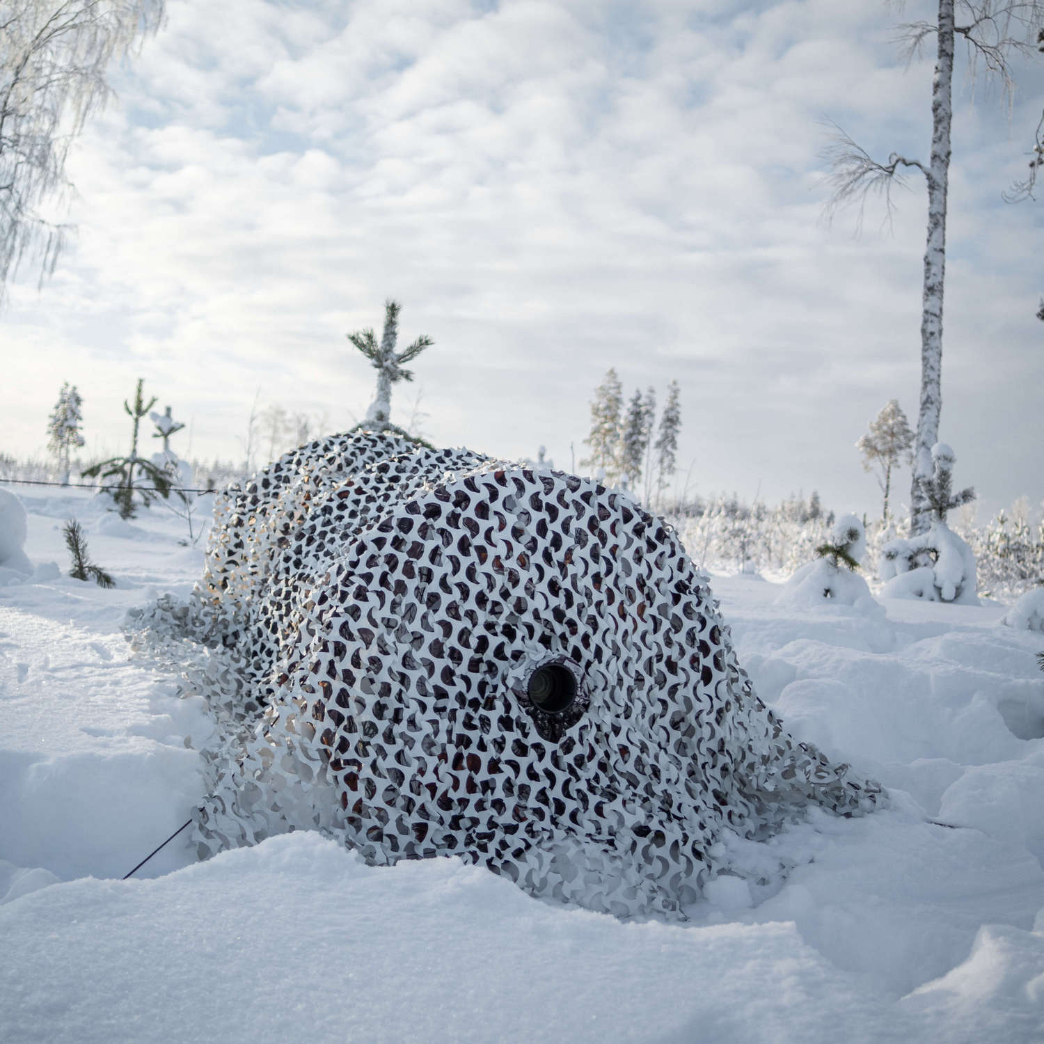 Buteo Photo Gear 3D leafs Camouflagenet Sneeuw 2,4x3 m