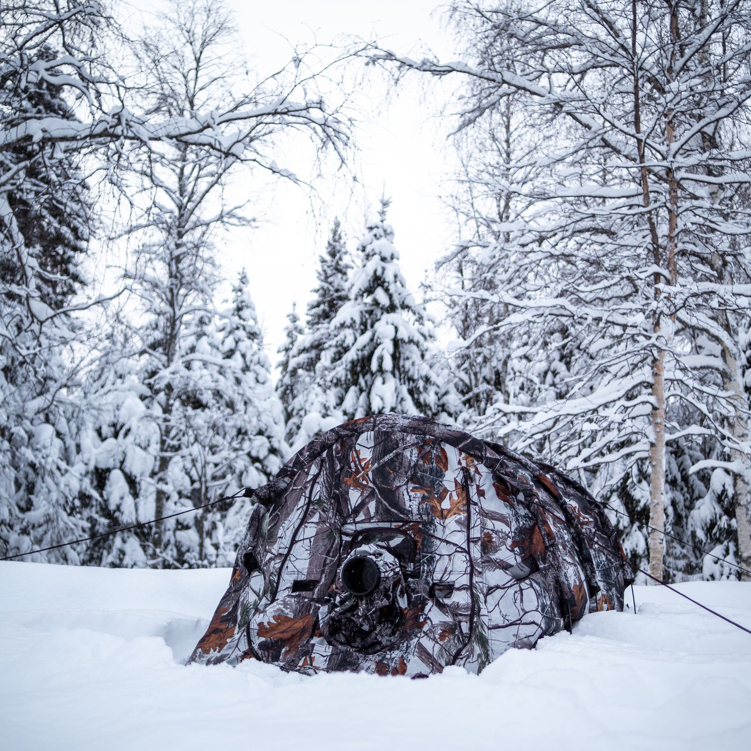Buteo Photo Gear Schuiltent Falco Mark III Sneeuw