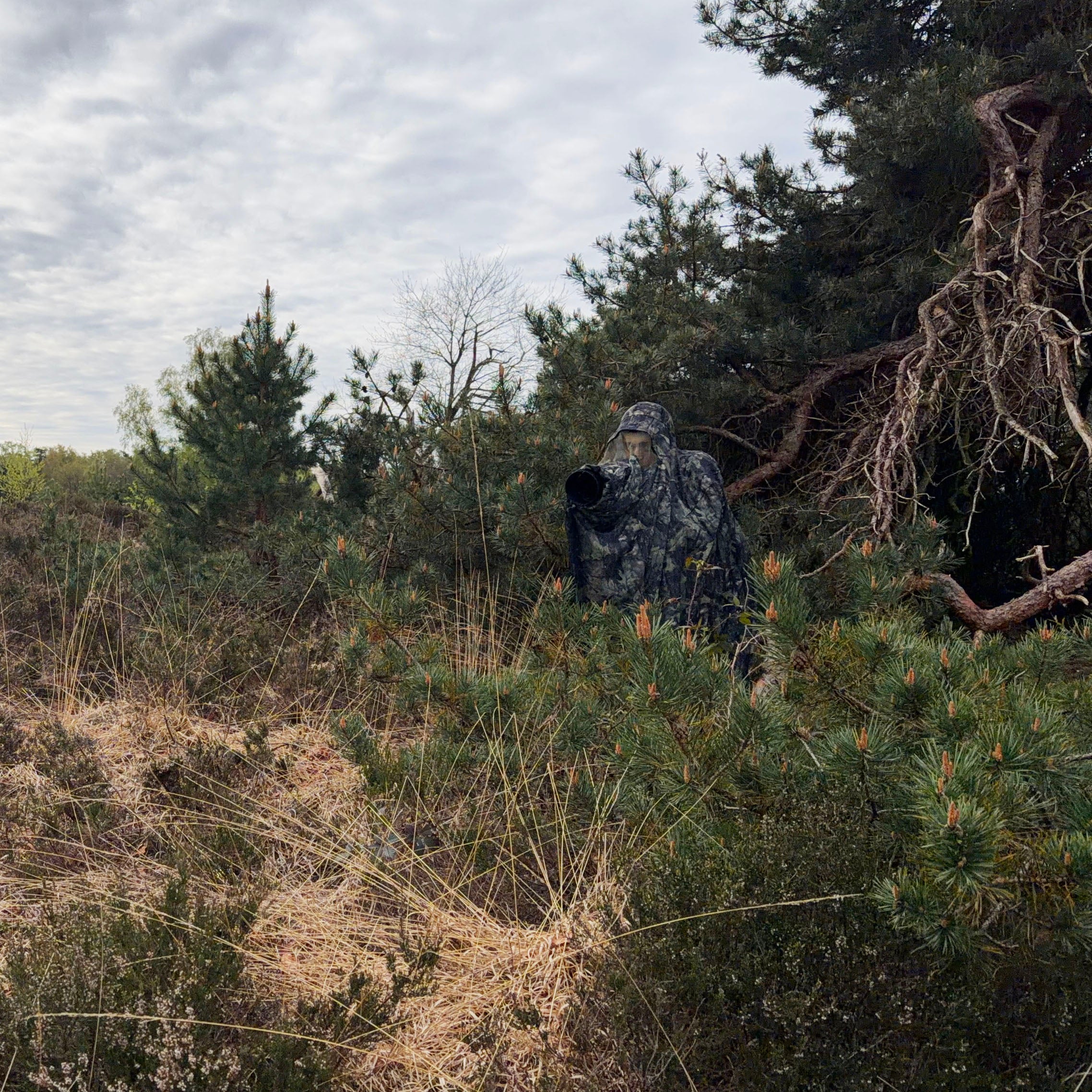 Buteo Photo Gear Baghide Lichtgewicht Groen