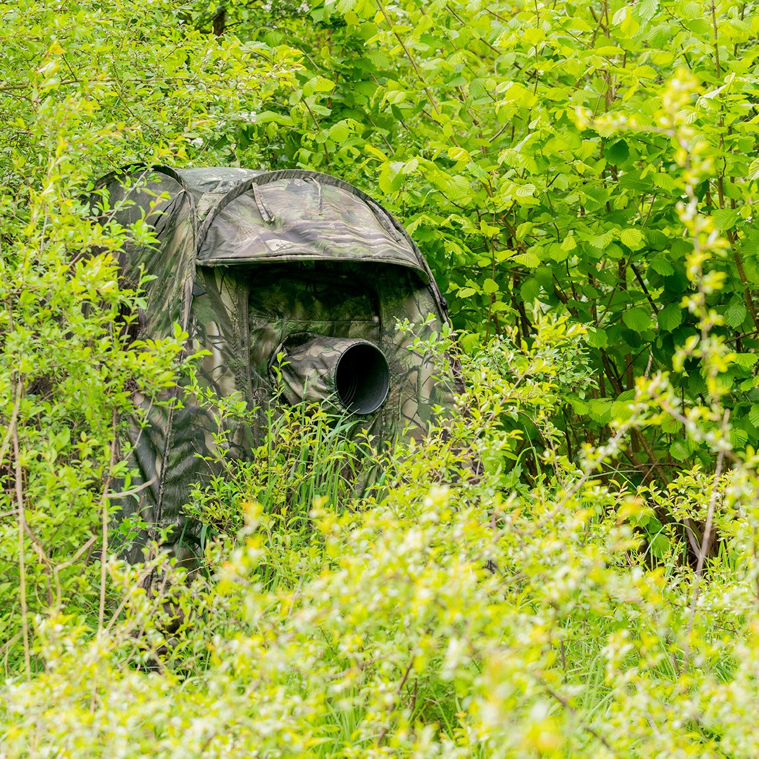 Buteo Photo Gear Schuiltent Buteo Mark III Groen