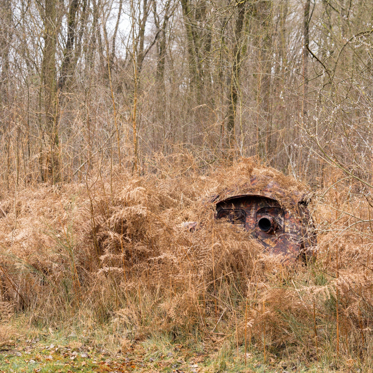 Buteo Photo Gear Schuiltent Aquila Mark III Bruin