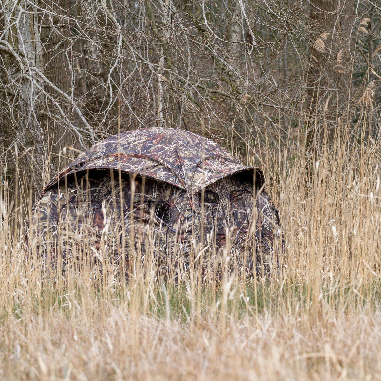 Buteo Photo Gear Schuiltent Aquila Mark III Riet