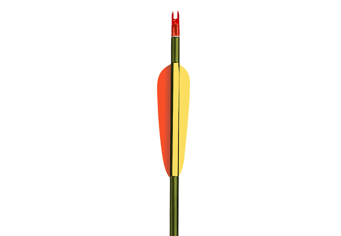 EK Archery Arrow - 2317 Aluminium 30" Green, Ø9,2mm p/5 - Screw-In Tip, Plastic Insert, Plastic Nock Bushing, Glue-In Nock