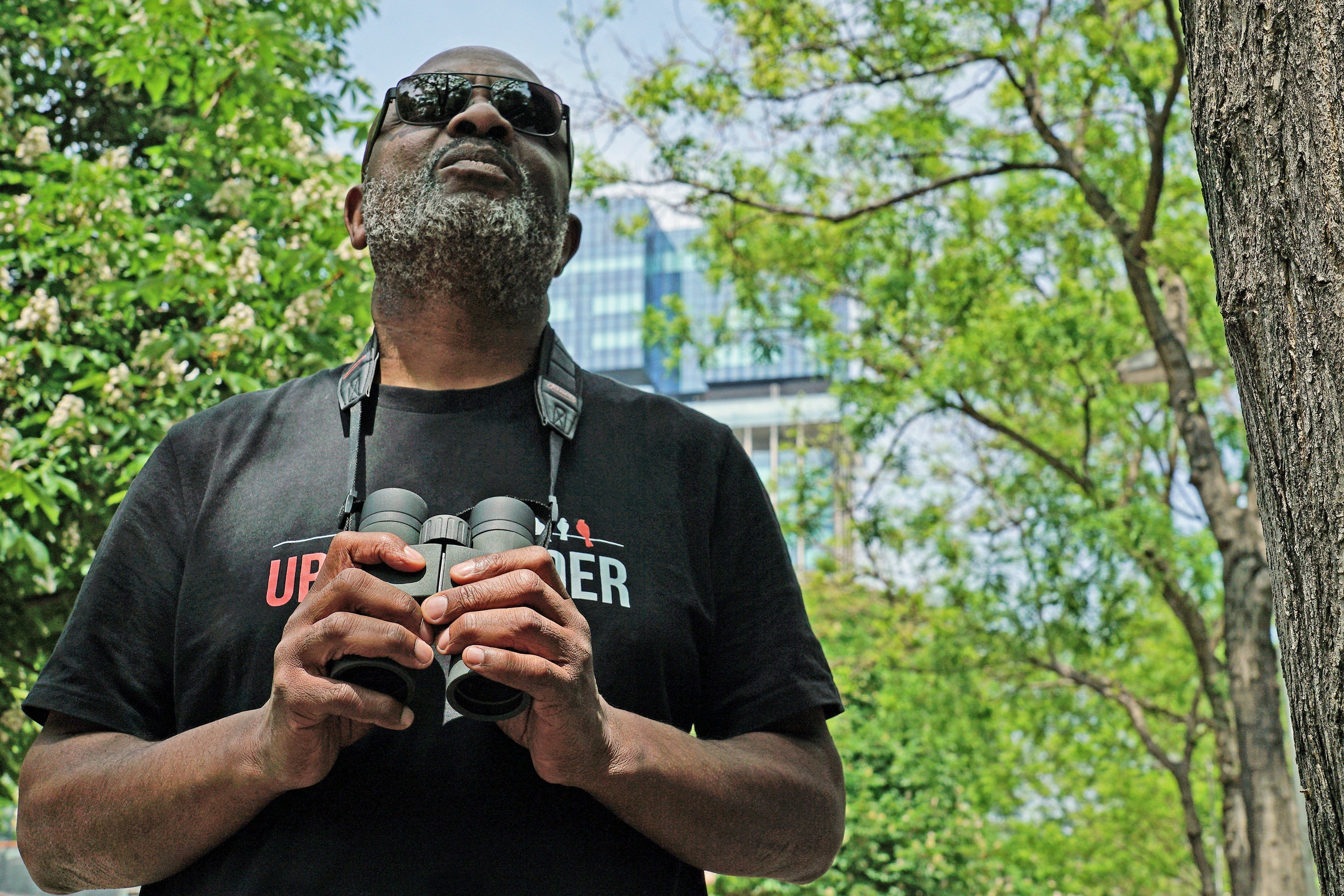 Kowa Verrekijker SVIII 8x42