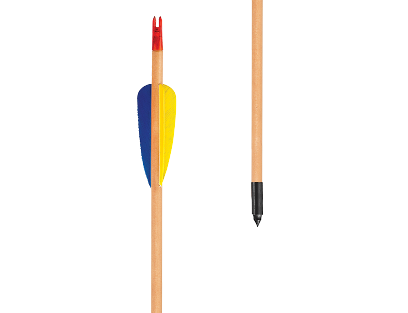 EK Archery Arrow - Natural Feather Target Wood 29" Ø8,0mm, Black Point p/3 - Glue-In Point &amp; Nock