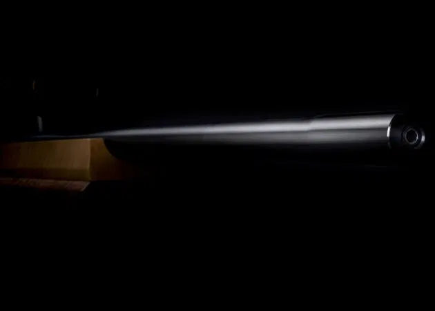 anschutz_1913a_benchrest_br-50_new_4_.jpg