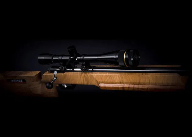 anschutz_1913a_benchrest_br-50_new_5_.jpg
