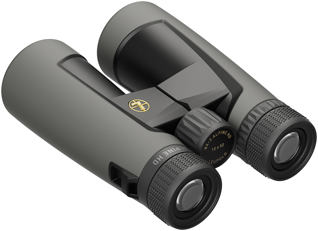 Leupold VK BX-2 Alpine HD 10x52mm Roof Shadow Gray