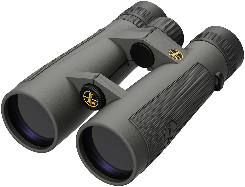 Leupold BO BX-5 Santiam HD 10x50mm Gray