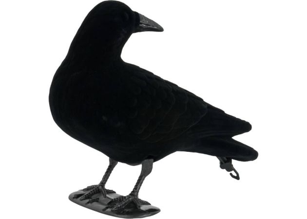 crow_decoy_flocked_standing_head_turned.jpg