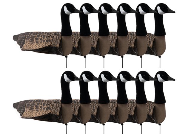 decoy-sillosocks-canada-goose-standing-12-pack-_1_.jpg
