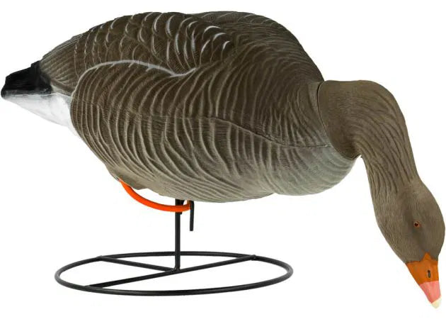 decoy_greylag_goose_flocked_foraging_6-pack_2.jpg