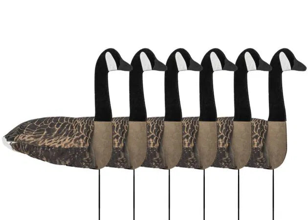 decoy_sillosocks_2d_canada_goose_sentry_6-pack_1_.jpg