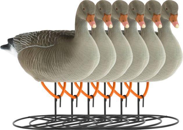 decoy_white-fronted_goose_flocked_resting_6-pack_1.jpg