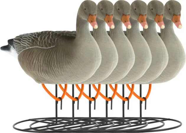 decoy_white-fronted_goose_flocked_resting_6-pack_1.jpg