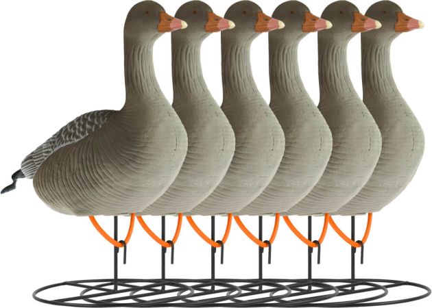 decoy_white-fronted_goose_flocked_standing_6-pack_1.jpg