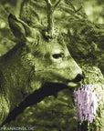frankonia_p119873_d3.jpg