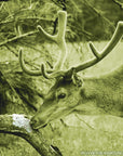frankonia_p119874_d2.jpg