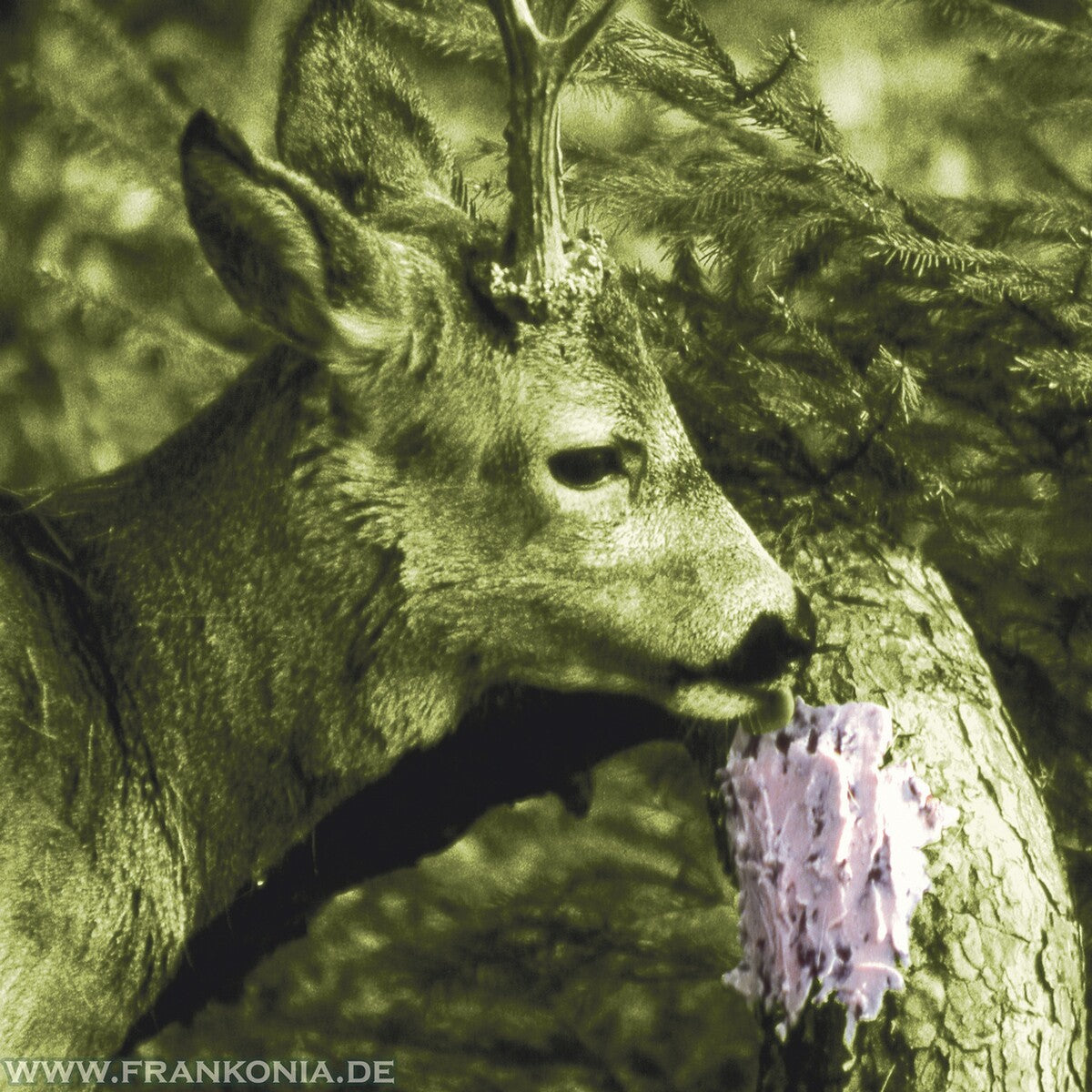 frankonia_p119874_d3.jpg