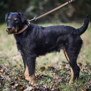 frankonia_p2003633_d5.jpg