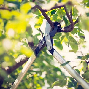 frankonia_p2018455_d11_v2.jpg