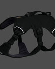 frankonia_p2025437_d2.jpg