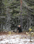 frankonia_p216669_d27.jpg