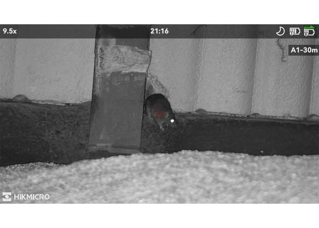 hikmicro_alpex_4k_lite_a40e_night_vision_scope_9_.jpg