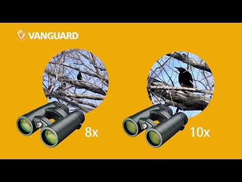 hqdefault_116_72.jpg
