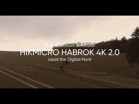 hqdefault_14_51.jpg