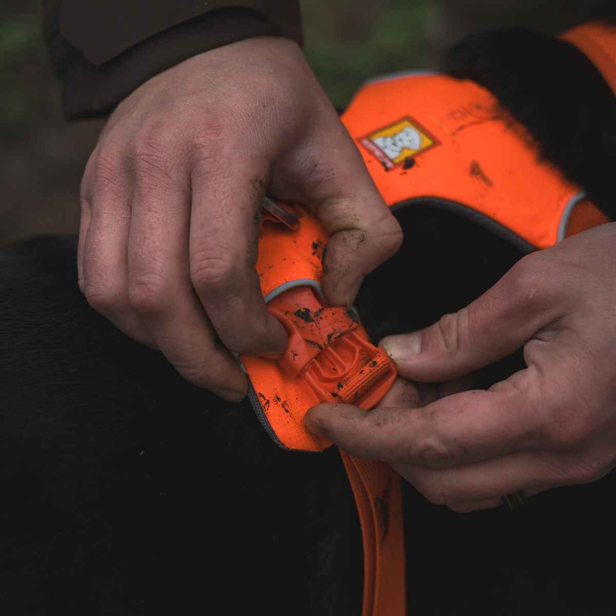 p2028337_d10.jpg&amp;width=1200&amp;height=1200&amp;effects=pad(CC,ffff)&amp;quality=40