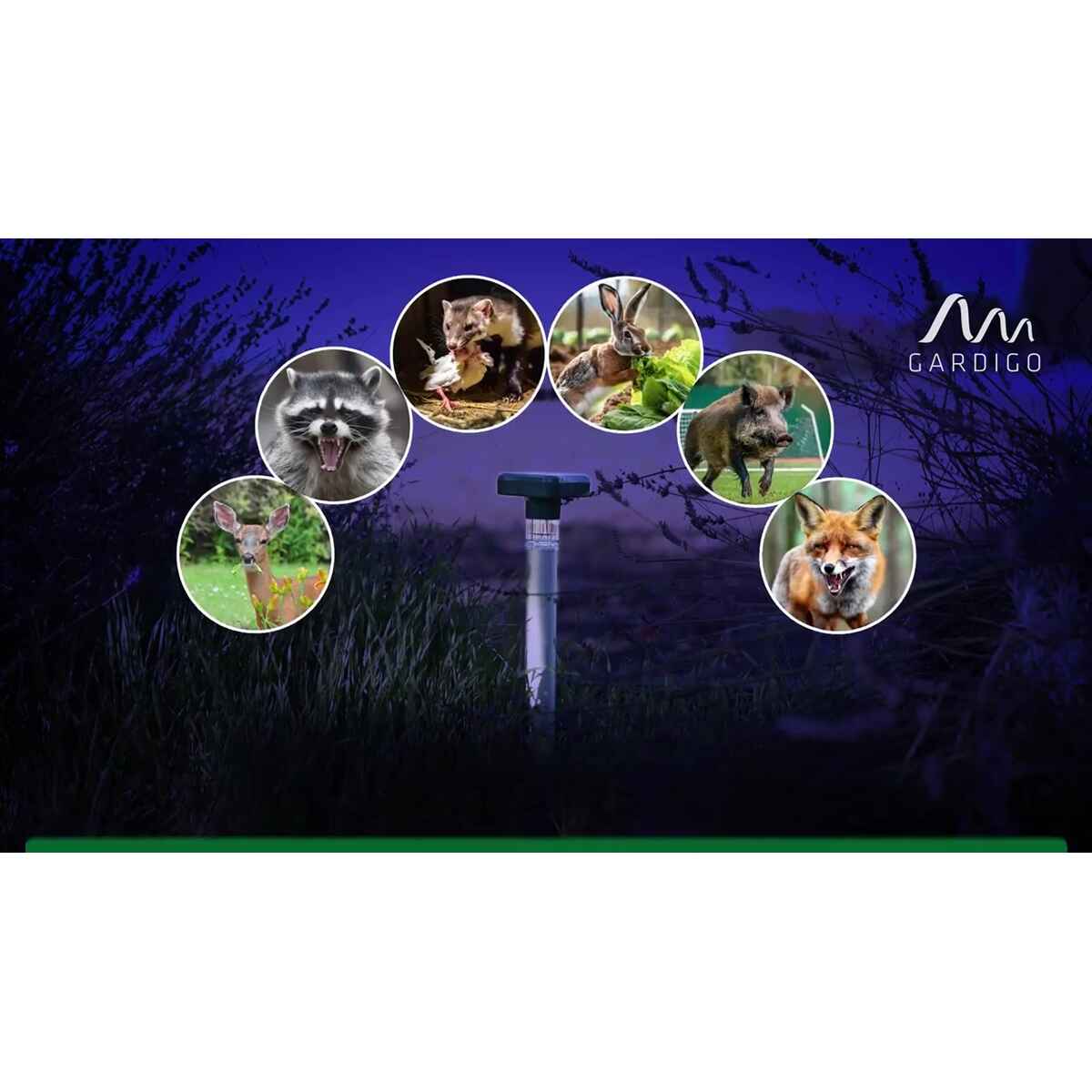 4He-c_ZFA7N8N7A98TKMqj.jpeg&width=1200&height=1200&effects=pad(CC,ffff)&quality=40