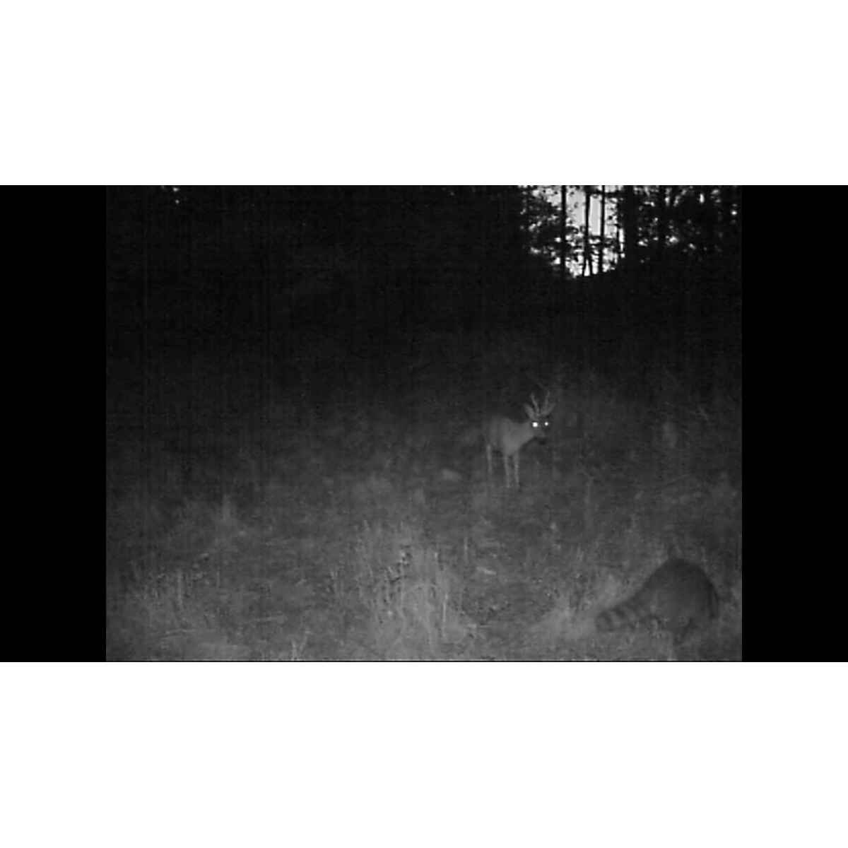 6nSKmYophAbVe1oHdvuFXS.jpeg&amp;width=1200&amp;height=1200&amp;effects=pad(CC,ffff)&amp;quality=40