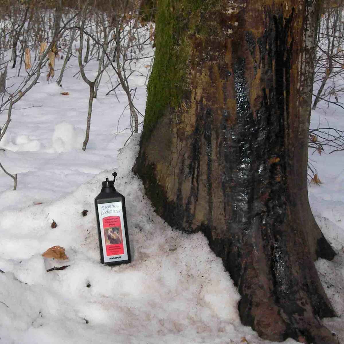 p156855_d1.jpg&width=1200&height=1200&effects=pad(CC,ffff)&quality=40