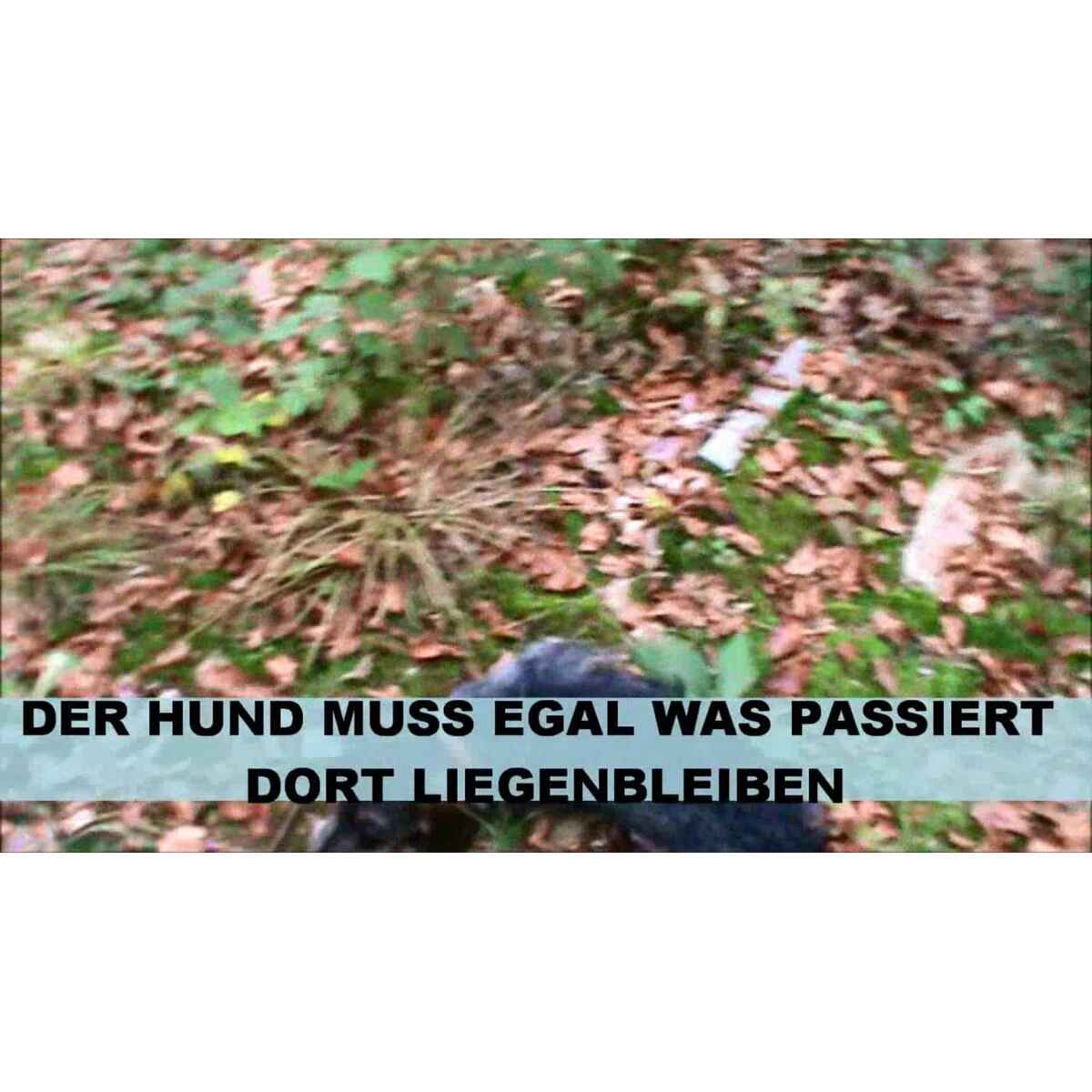 3DioPRkUTEgt7qvW2foEt6.jpeg&width=1200&height=1200&effects=pad(CC,ffff)&quality=40
