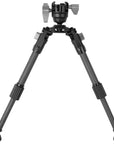 p2025696_d6.jpg&width=1200&height=1200&effects=pad(CC,ffff)&quality=40