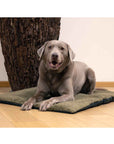 p2021086_d9.jpg&width=1200&height=1200&effects=pad(CC,ffff)&quality=40