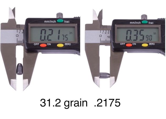 slugs_nielsen_5.5_mm_hpdb_31.2_grain_.2175_2_.jpg