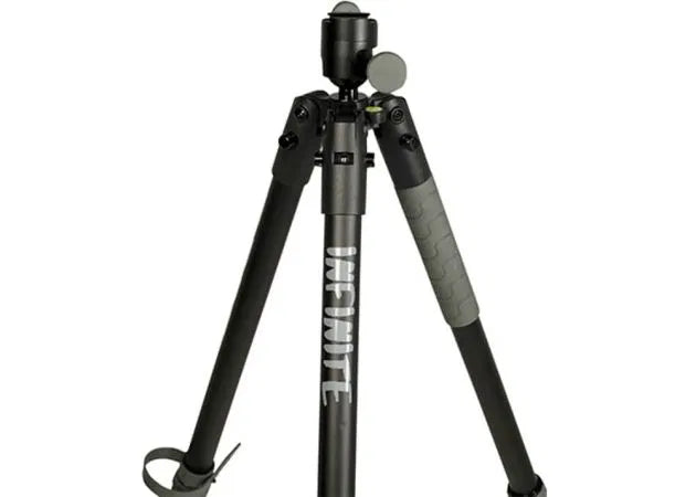 tripod_bog_infinite_arca_swiss_2.jpg
